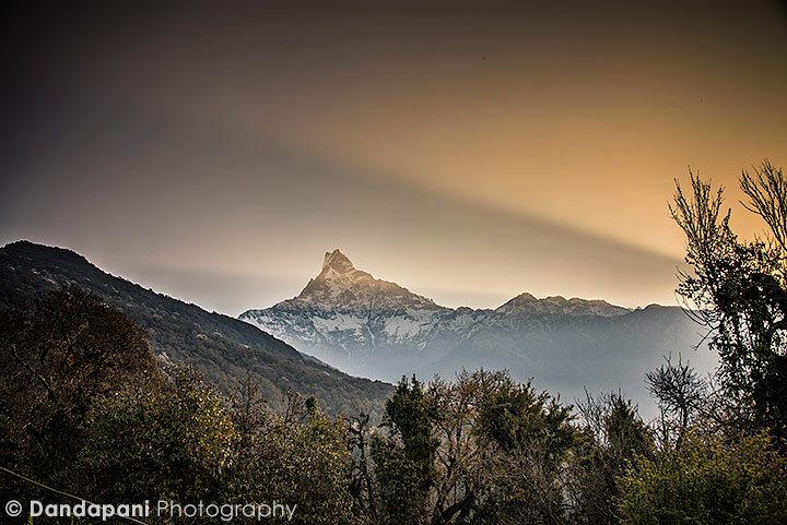 Day 3 Mardi Himal Trek – Annapurna Range, Himalayas