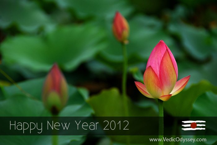 Happy New Year