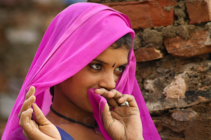 Pushkar is Pink