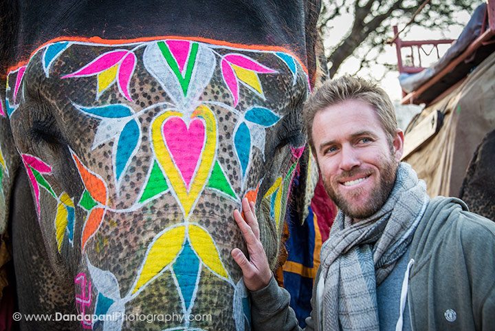 An evening with elephants in Rajasthan