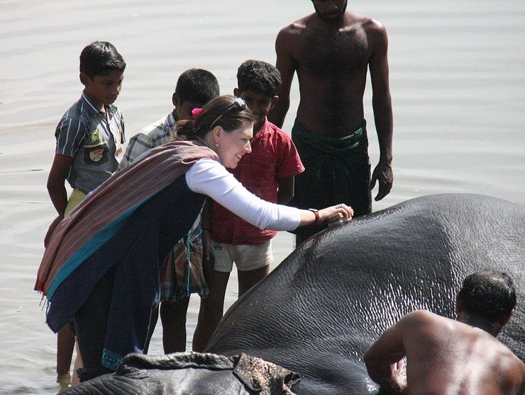Bathing the Elephant