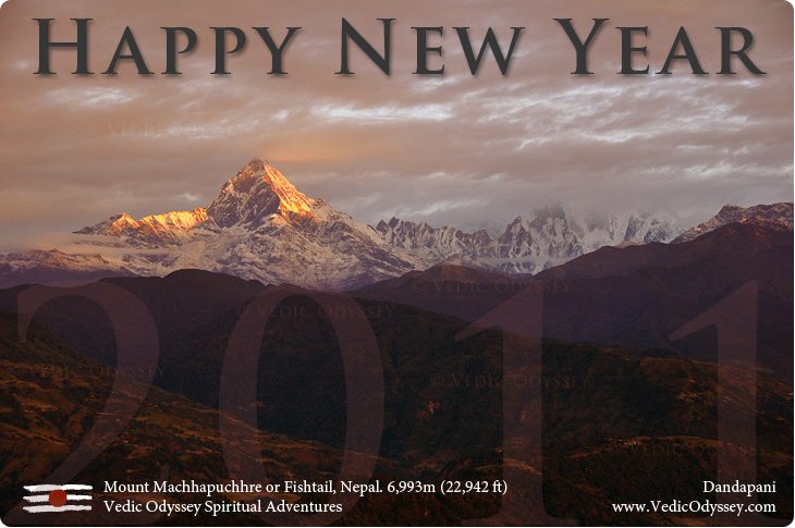 Happy New Year