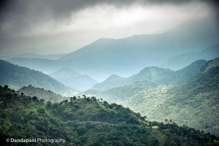 Wildlife, spices, & tea plantations in Periyar