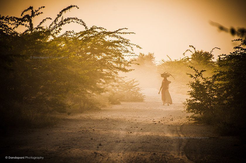 What is my Spiritual Path?
