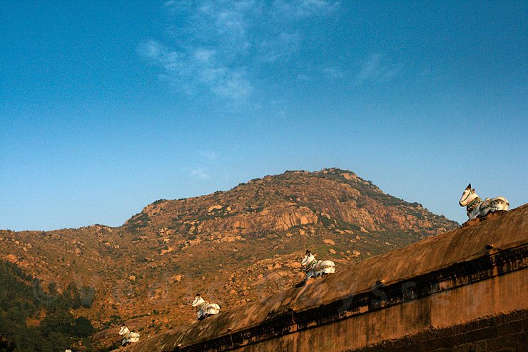 Arunachala – hill of fire