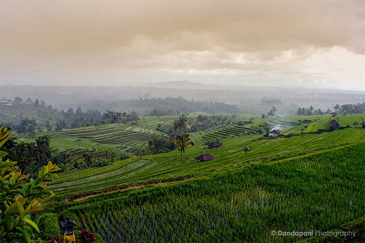 Meditation and Wellness Retreat in Indonesia