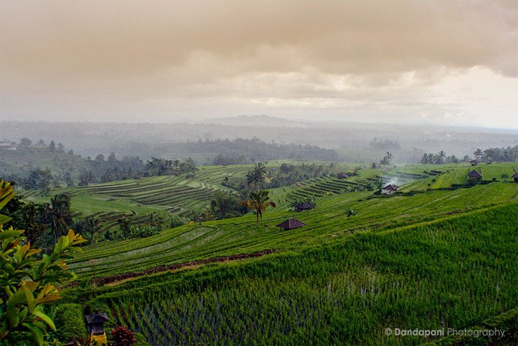 Meditation and Wellness Retreat in Indonesia
