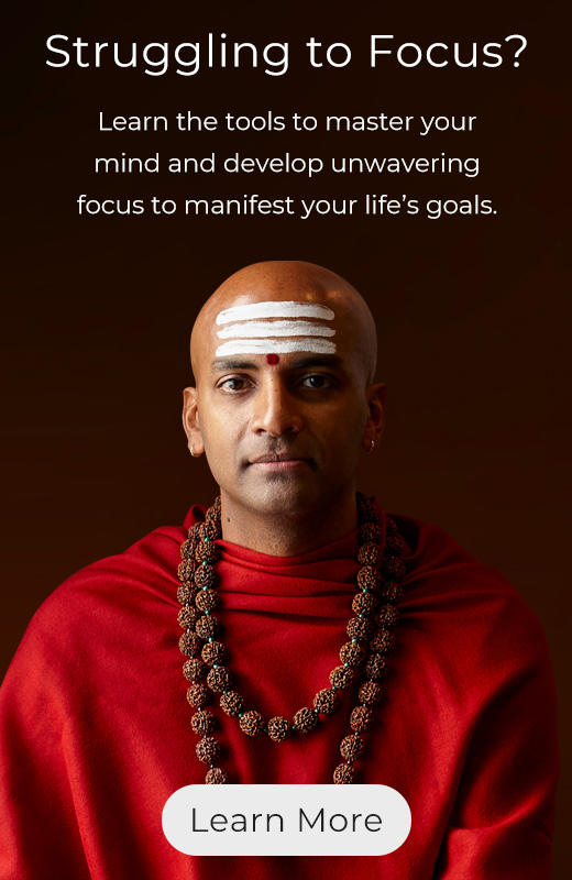 12 week online course to learn meditation