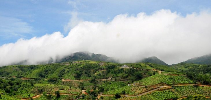 The Beautiful Drive to the Western Ghats