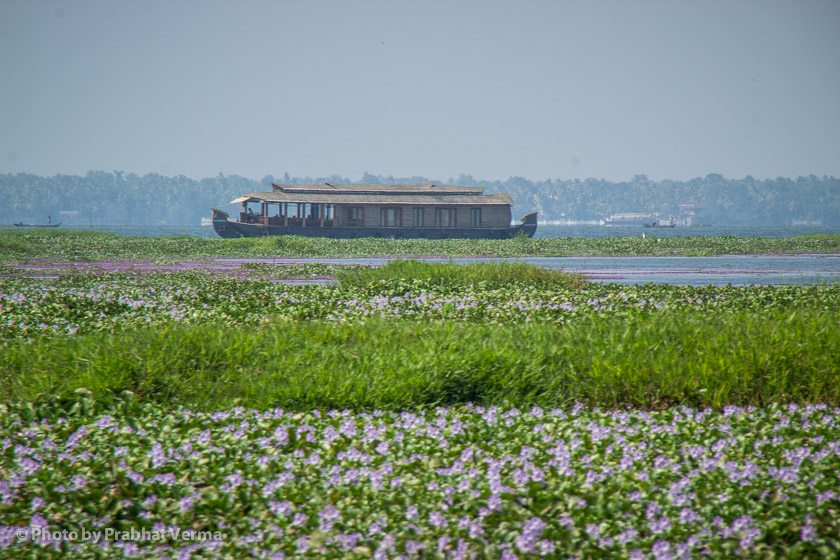 We sailed out across Lake Vembanad to Phillipkutty Farm for lunch.