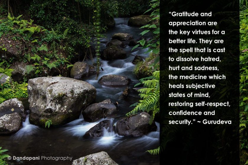 Thoughts on Gratitude and Appreciation