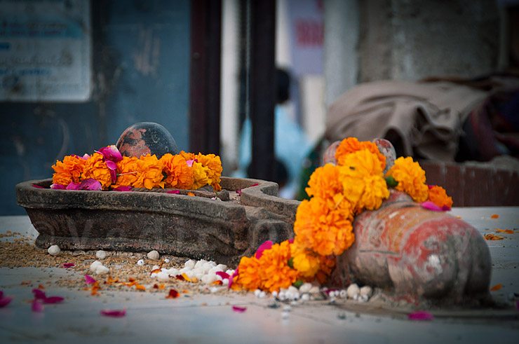 hindu-festival-pushkar-india-9392 Siva Lingam and Nandi, India