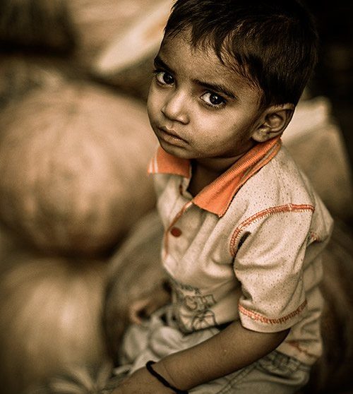 The Pumpkin Merchant’s Son