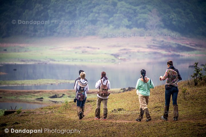 Jungle Hike and Tea Plantations in Kerala, India