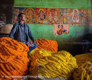 kolkata-flower-market-mallick-ghat-howrah