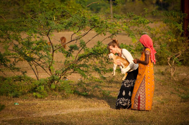 meditation-retreat-india-0777