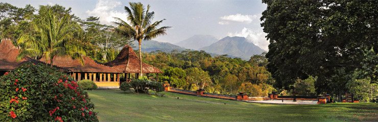 MesaStila restaurant and volcano view