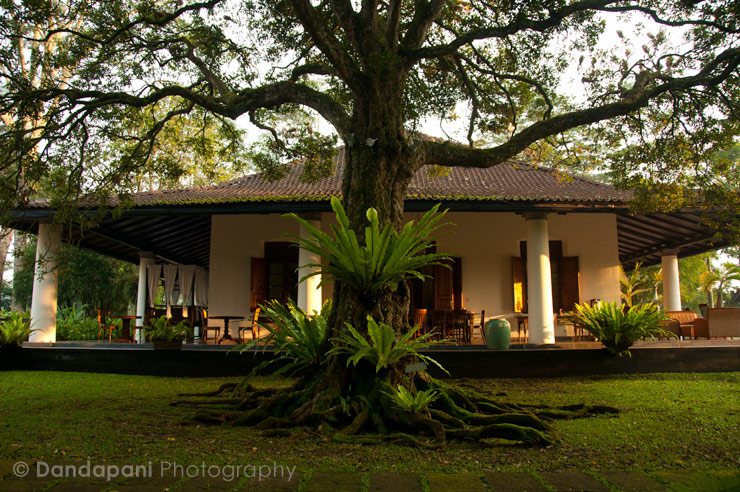 A Spiritual Collaboration with Wellness & Nature