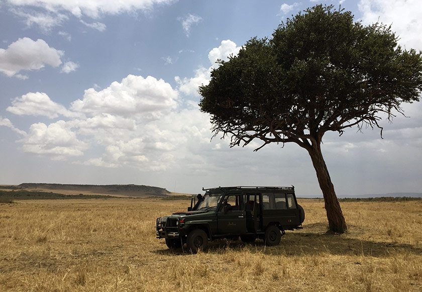 We usually parked the jeep under a shady tree for breakfast and lunch. What an experience to have a meal with wildlife all around you.