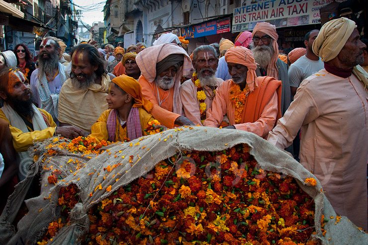 parade-of-monks-india parade-of-monks-india
