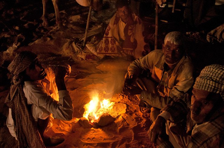 Morning Scene at the Pushkar Camel Fair