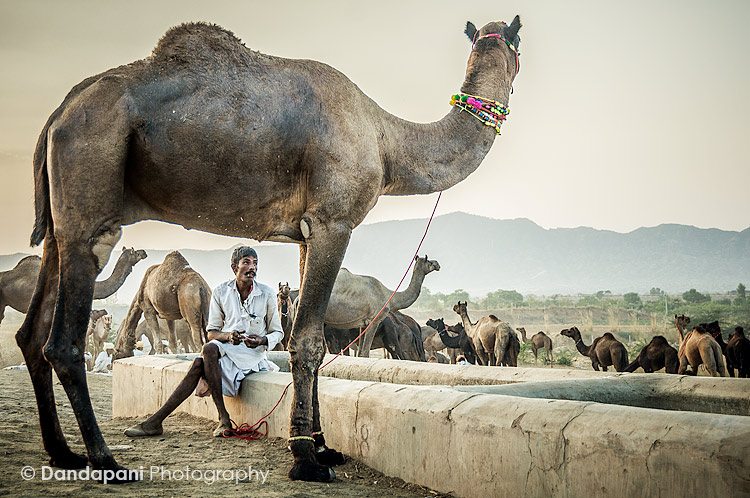 Our next Spiritual Adventure explores Rajasthan