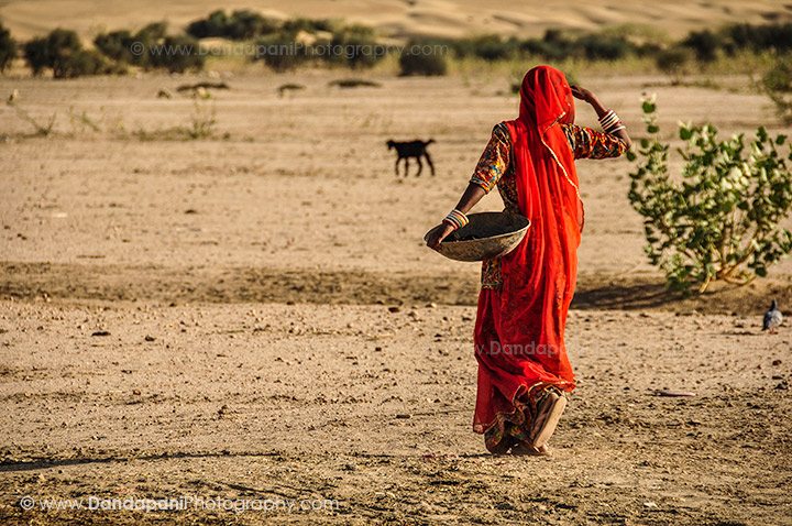 Cuisine of Rajasthan – The land and its (limited!) bounty