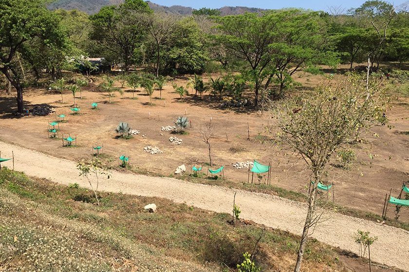 Siva Ashram Update – April 2017 Part 1