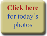 todays_photos